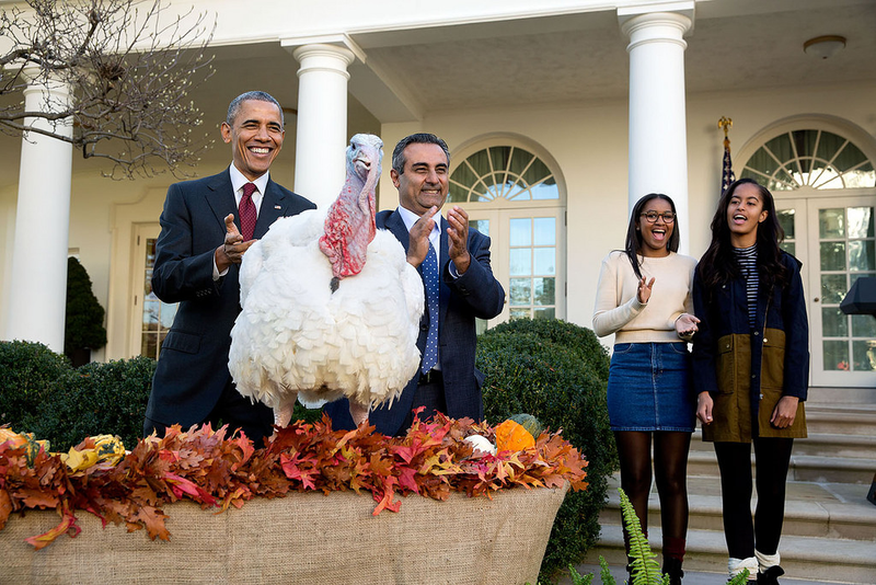 President Barack Obama and his daughters Sasha and Malia participate in the annual National Thanksgiving Turkey pardon ceremony in the Rose Garden of the White House with National Turkey Federation Chairman Jihad Douglas on Nov. 25, 2015.Official White House Photo by Pete Souza
